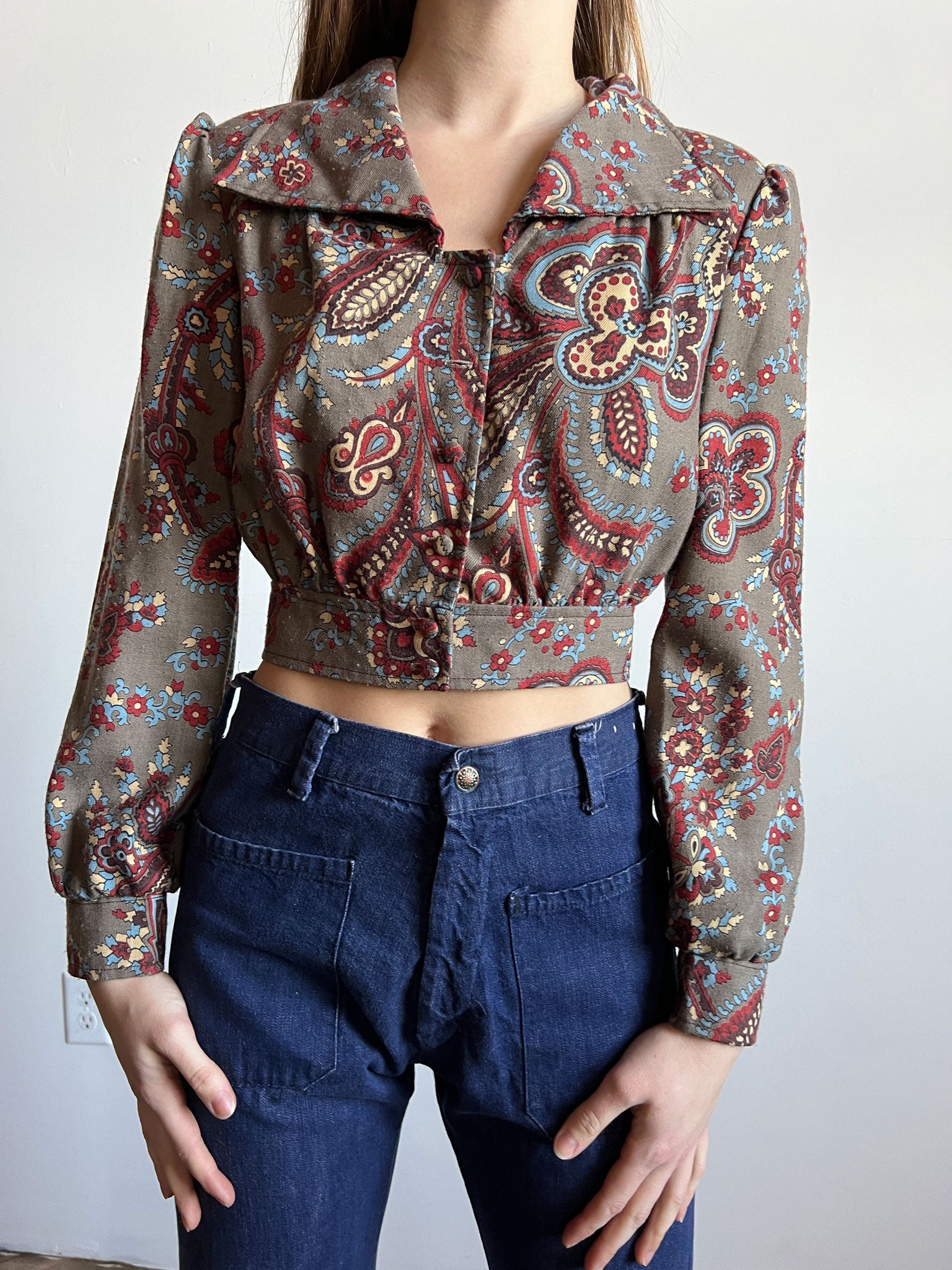 Vintage 1960's - 1970's Floral Paisley Cropped Long Sleeve Blouse, Top, Women's