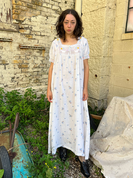 Antique Edwardian Era Bird Print Dress