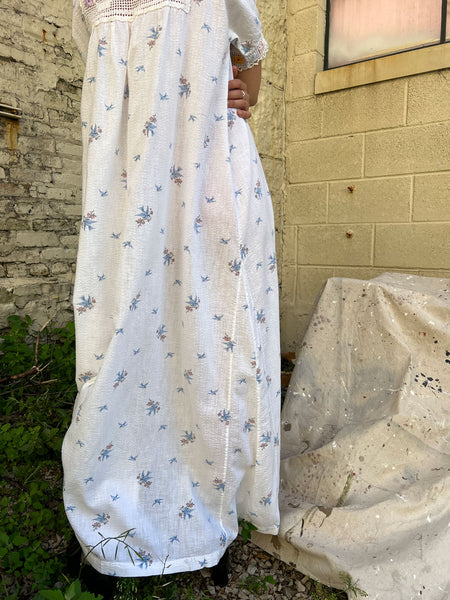 Antique Edwardian Era Bird Print Dress