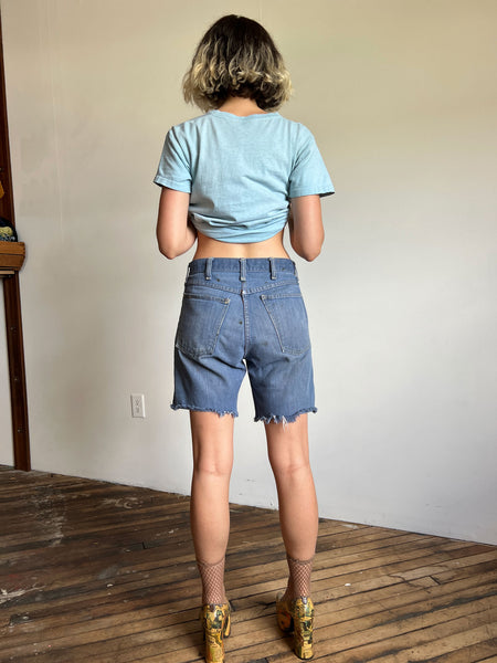 Vintage 1970's Cut Off Denim Shorts