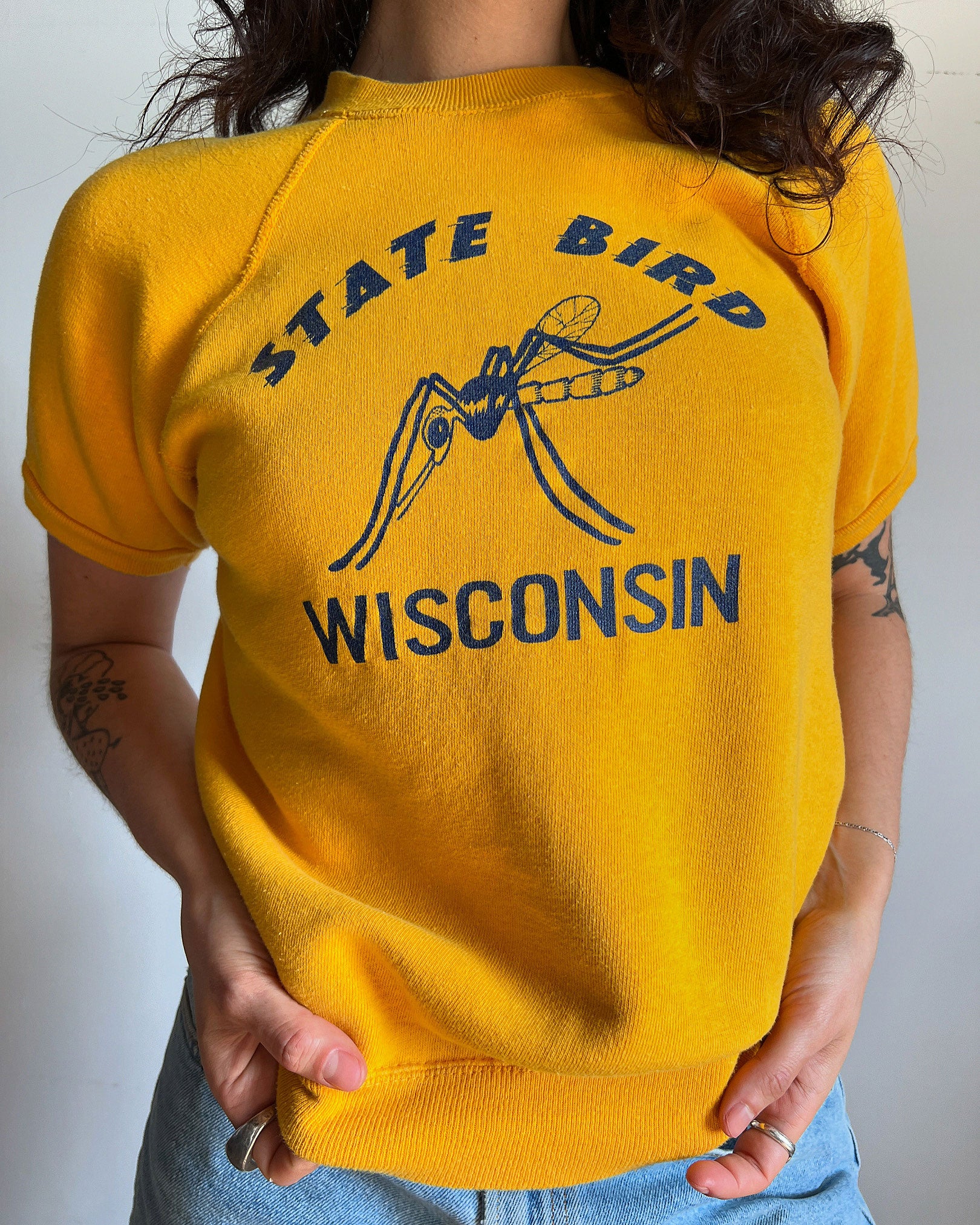 Vintage Wisconsin State Bird Short Sleeved Sweater, Sweatshirt, Funny