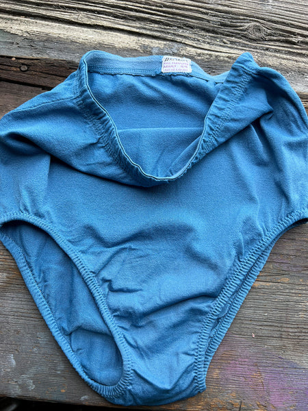 Vintage 1960's Blue Danskin High Waist Costume Underwear